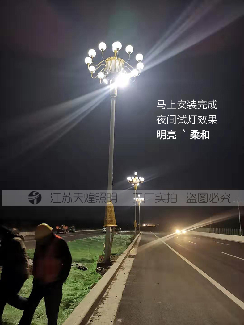河南驻马店景观灯中华灯