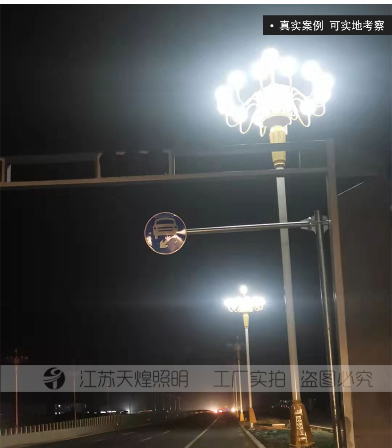 河南驻马店景观灯中华灯